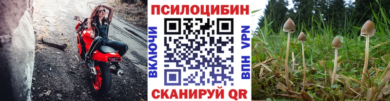 Купить  Родники  Галлюциногенные грибы мухоморы 